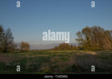 Soirée ensoleillée dans un parc commun Hartham, dans le Hertfordshire, à l'Est de l'Angleterre. Il est situé près du centre ville d'Hertford. Banque D'Images