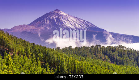 Les télescopes de l'observatoire astronomique d'Izana sur Teide park et Volcan Teide en saison d'hiver, Tenerife, Canaries, Espagne Banque D'Images