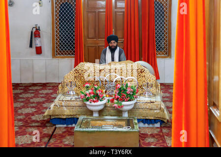 Saint homme sikh dans le Temple d'or d'Amritsar (Sri Harmandir Sahib, Darbar Sahib), le pèlerinage le plus sacré du sikhisme, Amritsar, Punjab, India Banque D'Images