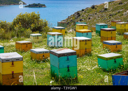 Ruche multi-couleurs des boîtes sur colline surplombant la mer, Nafplion, Grèce Banque D'Images