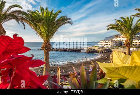 Paysage avec la plage à Puerto de Santiago ville, Tenerife, îles de Canaries, Espagne Banque D'Images