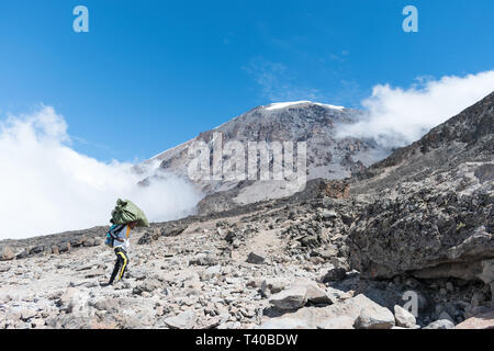 Un seul homme porter porte une lourde charge sur son dos et la tête dans le soleil chaud sur une journée nuageuse. Sommet du Kilimandjaro est en arrière-plan. Banque D'Images