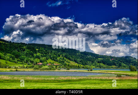 Cette photo montre le paysage avec les prairies et les forêts à Immenstadt dans l'Allgäu en Bavière, Allemagne Banque D'Images