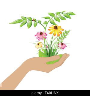 Prise femelle de plantes et de fleurs isolé sur fond blanc vector illustration EPS10 Illustration de Vecteur