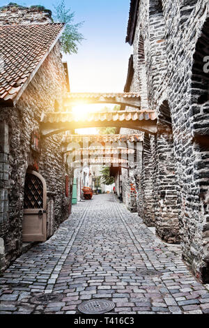 Le passage Sainte Catherine - allée un peu dans la vieille ville de Tallinn, Estonie. Banque D'Images