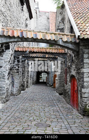 Le passage Sainte Catherine - allée un peu dans la vieille ville de Tallinn, Estonie. Banque D'Images