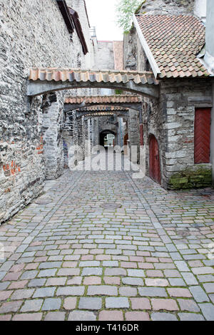 Le passage Sainte Catherine - allée un peu dans la vieille ville de Tallinn, Estonie. Banque D'Images