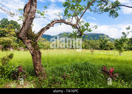 El Valle de Anton au Panama. El Valle est considéré comme l'un des plus beaux endroits au Panama. Banque D'Images