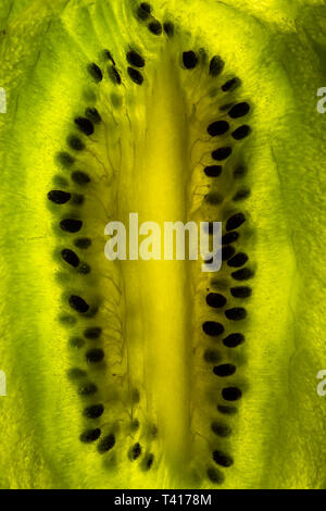 Close-up du kiwi Banque D'Images