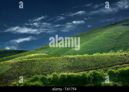 Paysage de montagnes tropicales, Indonésie Banque D'Images