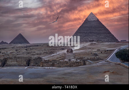 Les Pyramides de Gizeh et du Sphinx au coucher du soleil, l'Égypte Banque D'Images