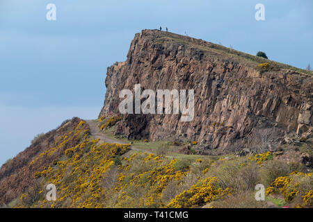 Salisbury Crags dans Holyrood Park, Edinburgh. Banque D'Images