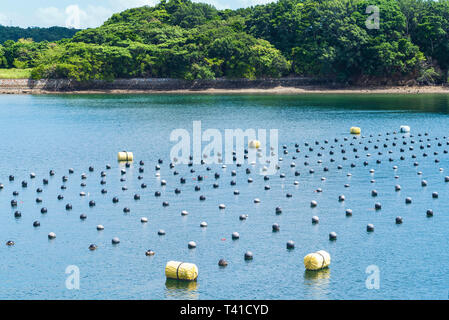 Rangs de perles dans l'océan, la production et la culture de perles dans l'océan. paysage et Pearl Aqua culture agricole au Japon. Shima Banque D'Images