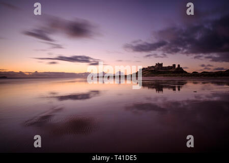 En Angleterre, Northumberland, Bamburgh. Les couleurs de l'aube reflétée sur le mouillé, plage de sable à Lunteren négligé par Château de Bamburgh, situé le long de la Banque D'Images