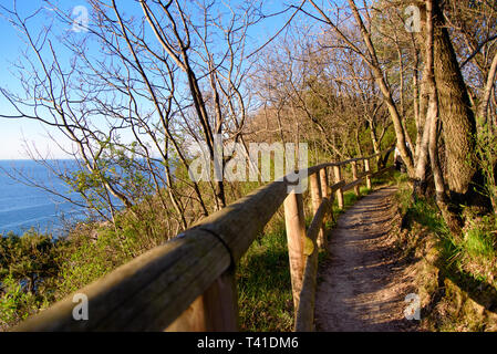 Belle forêt de ronde à Strunjan avec un wiev de la mer, printemps, soleil, heure d'or Banque D'Images