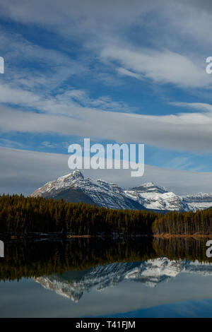 Plus de montagnes de glace Waputik Herbert Lake dans le parc national de Banff, Canada Banque D'Images