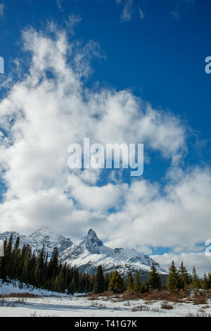 Hilda Peak et Mont Athabasca vu de l'aire de stationnement le long de la promenade des Glaciers en Alberta, Canada Banque D'Images