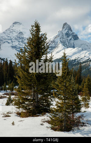 Hilda Peak et Mont Athabasca vu de l'aire de stationnement le long de la promenade des Glaciers en Alberta, Canada Banque D'Images