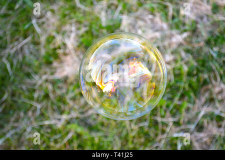 Le rainbow bubbles avec l'arrière-plan de l'herbe à l'été. Bulle avec ventilateur. Les portes non filtré, avec lumière naturelle. Banque D'Images