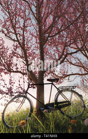 Le rendu 3D de se pencha à vélo noir cerisier japonais dans le pré gras paysage dans la lumière du soleil du soir Banque D'Images