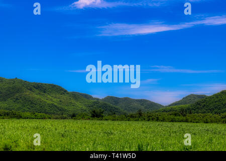 Cette image montre la belle nature avec des collines et des arbres pour le parc national de Kaeng Krachan en Thaïlande Banque D'Images