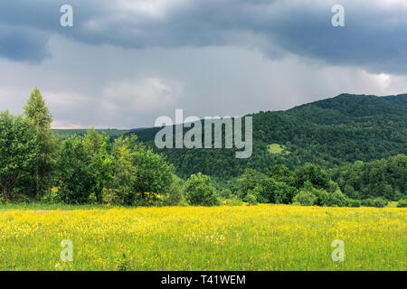 Sombre après-midi d'été dans les montagnes. arbres au bord d'un domaine rural. Magnifique campagne dans des conditions météorologiques avant storm Banque D'Images