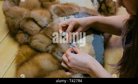 Manteau de fourrure réparation sur mesure Banque D'Images