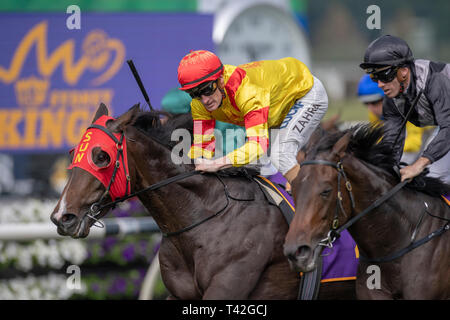 Sydney, Australie. 13 avr, 2019. 13 avril 2019 - Sydney, U.S. - Royal Randwick, SYDNEY - 13 avril:Schéma d'alimentation , monté par Mark Zahra gagne les rois de Sydney Sport Mile sur deuxième jour des championnats au Royal Hippodrome de Randwick à Sydney. Michael McInally/Eclipse/CSM Sportswire Crédit : Cal Sport Media/Alamy Live News Banque D'Images