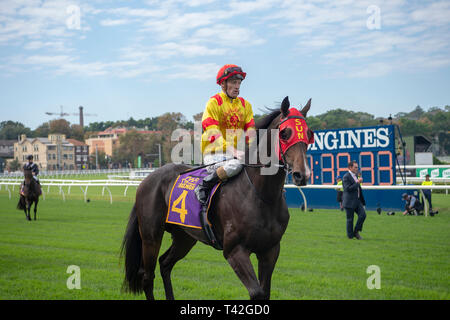 Sydney, Australie. 13 avr, 2019. 13 avril 2019 - Sydney, U.S. - Royal Randwick, SYDNEY - 13 avril:Schéma d'alimentation , monté par Mark Zahra gagne les rois de Sydney Sport Mile sur deuxième jour des championnats au Royal Hippodrome de Randwick à Sydney. Michael McInally/Eclipse/CSM Sportswire Crédit : Cal Sport Media/Alamy Live News Banque D'Images