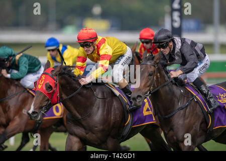 Sydney, Australie. 13 avr, 2019. 13 avril 2019 - Sydney, U.S. - Royal Randwick, SYDNEY - 13 avril:Schéma d'alimentation , monté par Mark Zahra gagne les rois de Sydney Sport Mile sur deuxième jour des championnats au Royal Hippodrome de Randwick à Sydney. Michael McInally/Eclipse/CSM Sportswire Crédit : Cal Sport Media/Alamy Live News Banque D'Images