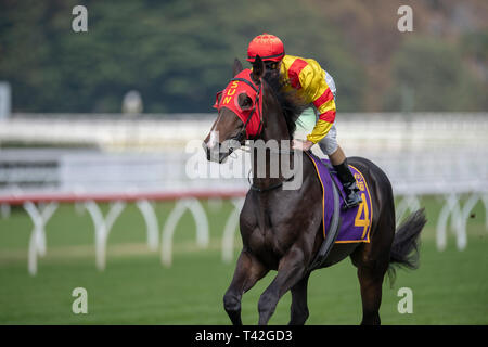 Sydney, Australie. 13 avr, 2019. 13 avril 2019 - Sydney, U.S. - Royal Randwick, SYDNEY - 13 avril:Schéma d'alimentation , monté par Mark Zahra gagne les rois de Sydney Sport Mile sur deuxième jour des championnats au Royal Hippodrome de Randwick à Sydney. Michael McInally/Eclipse/CSM Sportswire Crédit : Cal Sport Media/Alamy Live News Banque D'Images