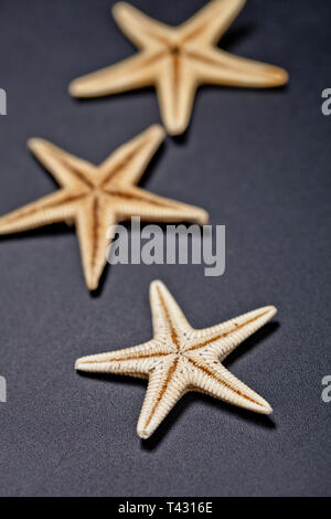 Trois étoiles sur fond noir. Image Macro. Banque D'Images
