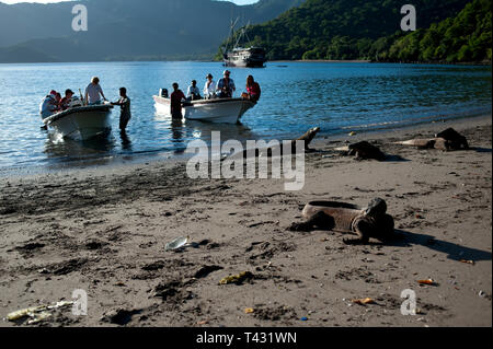 Les touristes sur les bateaux en regardant les dragons de Komodo, Varanus komodoensis, Horseshoe Bay, au sud de Rinca Island, le Parc National de Komodo, Indonésie Banque D'Images