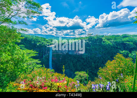 Cascade de Chamarel dans junle de l'Ile Maurice, l'Afrique Banque D'Images