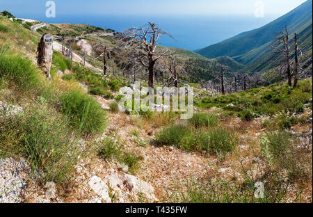 Col Llogara d'été avec vue sur la route, arbres de la pente et de la surface de l'eau de mer (Albanie). Banque D'Images