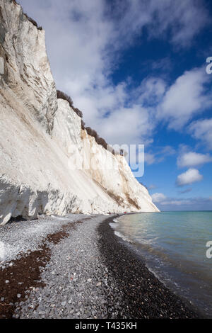 Les falaises blanches et mer claire à Mons Klint, les falaises les plus hautes au Danemark Banque D'Images