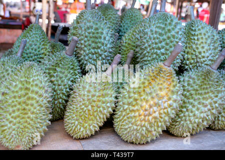 Durian, lat. Durio zibethinus, sur un marché en Thaïlande, en Asie du Sud-Est, l'Asie Banque D'Images