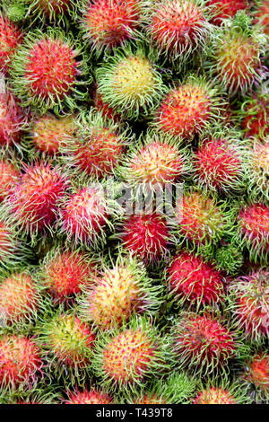 Ramboutan Nephelium lappaceum fruits tropicaux, sur un marché en Thaïlande, Asie Banque D'Images