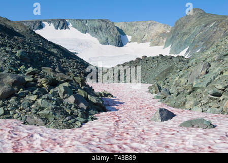 Route de l'IGAN glacier. De l'Oural polaire, Russie Banque D'Images