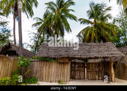 Pavillon avec toit de chaume et des palmiers verts autour et un vélo sous le toit. Banque D'Images