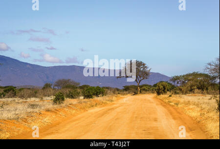 Les plaines de savane incroyable paysage et route safari au Kenya Banque D'Images