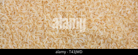Le riz étuvé à graines sèches, fond plein cadre bannière. Close up Vue de dessus Banque D'Images