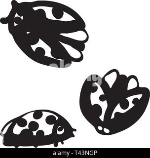 Ensemble de coccinelles dessiné à la main. Vector collection coccinelles Illustration de Vecteur