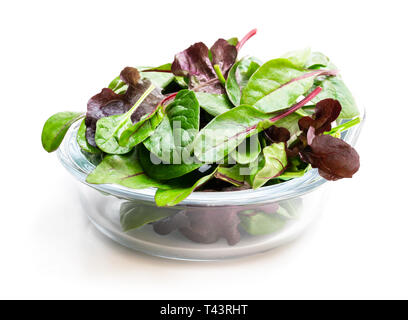 Mixed salad leaves dans bol en verre isolated on white Banque D'Images