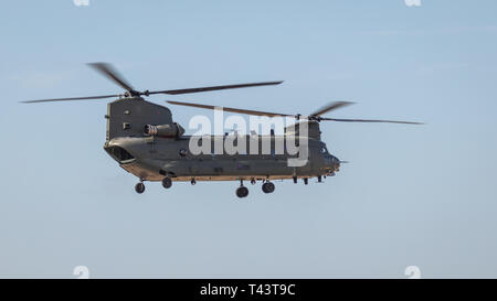 YEOVILTON, UK - 7 juillet 2018 : Un hélicoptère Chinook de la RAF en vol au dessus de l'aérodrome de RNAS Yeovilton dans le sud ouest de l'UK Banque D'Images