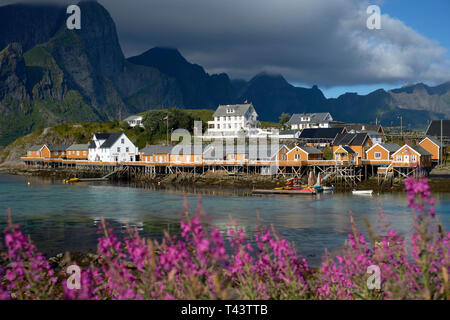 ( Sakrisøy Sakrisøya ) est une petite île et un village de pêche entre la Reine et dans la municipalité de Hamnøy Moskenes dans les Lofoten Norvège Nordland Banque D'Images