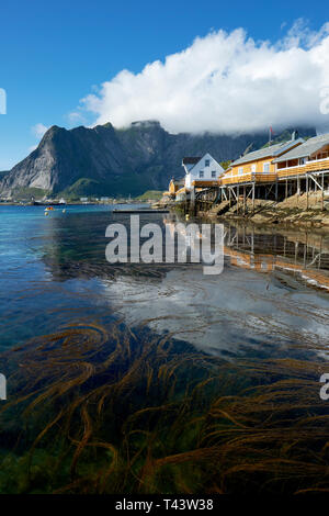 ( Sakrisøy Sakrisøya ) est une petite île et un village de pêche entre la Reine et dans la municipalité de Hamnøy Moskenes dans les Lofoten Norvège Nordland Banque D'Images