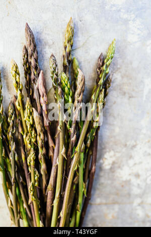 Asperges sauvages sur la surface de métal Banque D'Images