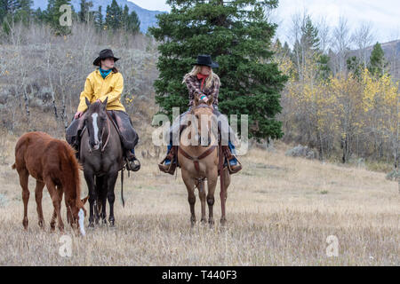 American Girls à cheval avec colt à côte dans Wyoming Banque D'Images