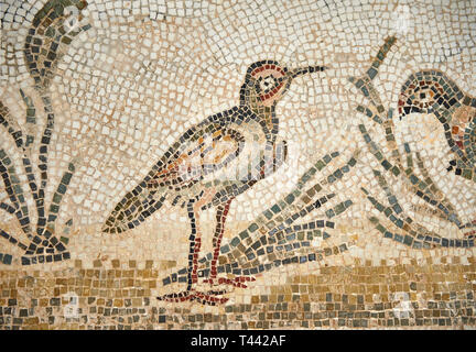 Photo d'une conception romaine mosaïques dionysiaque représentant des masques et des oiseaux, de l'ancienne cité romaine de Thysdrus. 3ème ANNONCE de siècle, la Chambre des fleurs. El D Banque D'Images